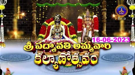 Sri Padmavathi Ammavari Kalyanotsavam Tiruchanoor