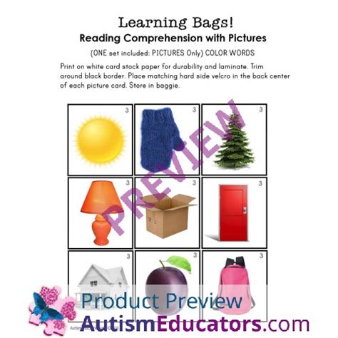 Sentence Comprehension With Pictures Learning Bag For Special Education Set 2