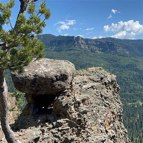 Wolf Creek Pass Overlook Pagosa Springs 2022 Alles Wat U Moet Weten Voordat Je Gaat