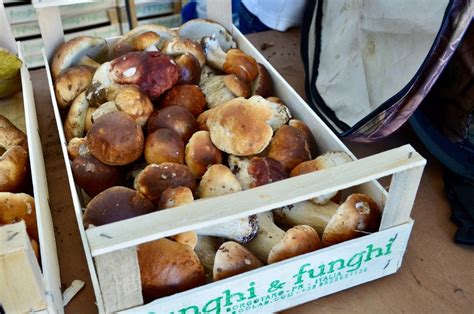 Funghi Funghi Vendita Funghi Porcini Di Borgo Val Di Taro