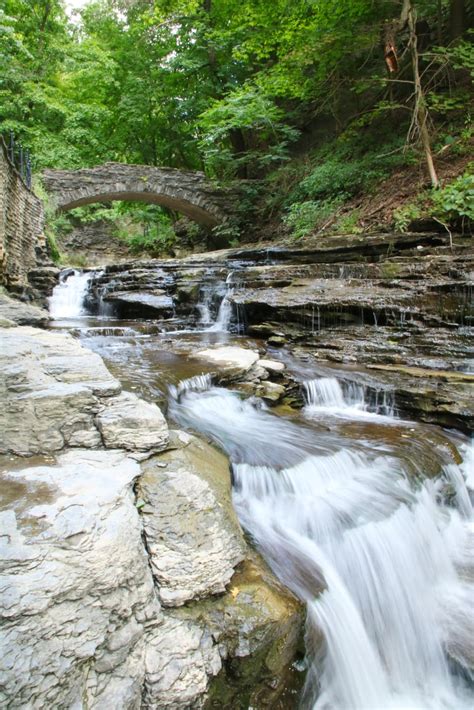 Cascadilla Gorge Trail - Lots of Nature