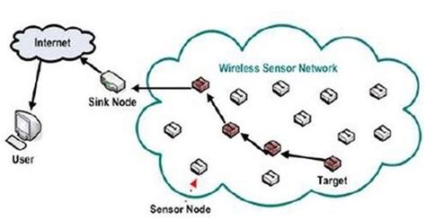 Wireless Sensor Network Wsn Dan Algoritma Pegasis From Giaz Just 4 You