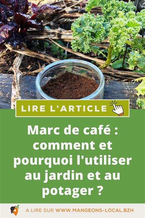 MARC DE CAFÉ COMMENT ET POURQUOI LUTILISER AU JARDIN ET AU POTAGER