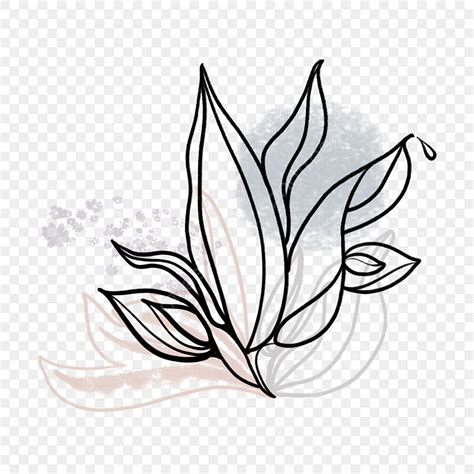 Black Line Drawing Plant Aquatic Plants Plant Drawing Wing Drawing