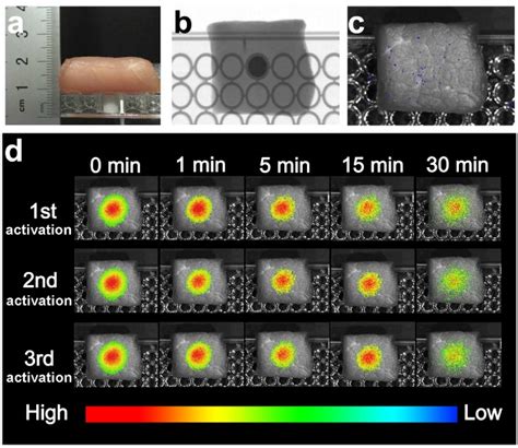 Figure 1 From Kiwifruit Like Persistent Luminescent Nanoparticles With