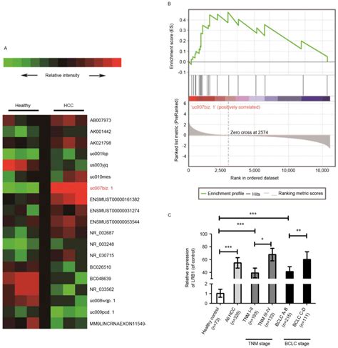 Serum Long Noncoding Rna Lrb As A Potential Biomarker For Predicting