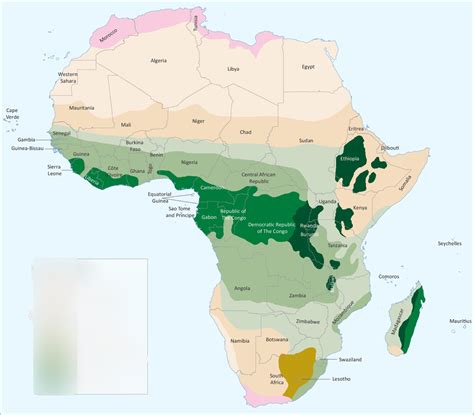 African Biomes Diagram | Quizlet