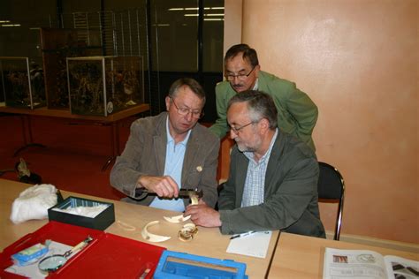 Faire coter un trophée Association Nationale des Chasseurs de Grand