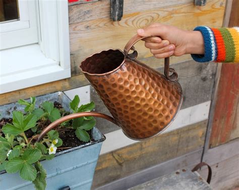 Watering Cans Forge And Flower