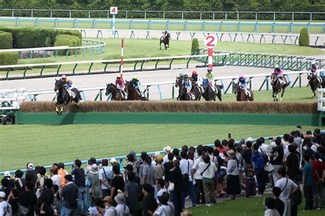 夏の小倉開幕レースを制したのは五十嵐雄祐騎手騎乗のテーオーコンドル 落馬負傷から復帰の森一馬騎手は11着 サンスポzbat