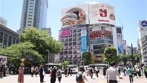 渋谷駅前の大型ビジョンで秋田犬の子犬がフリスビーをナイスキャッチ！可愛い3dカラクリ時計 Youtube