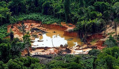 Garimpos ilegais na Amazônia cresceram 35 mil hectares no último ano do