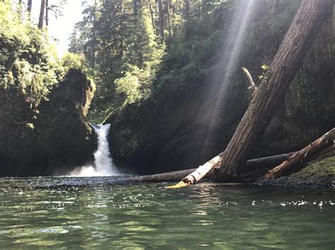 31 Best Beaches Swimming Holes In And Around Portland Oregon