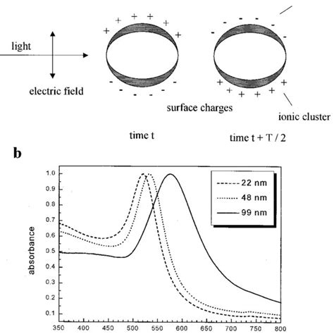 Size Dependent Surface Plasmon Absorption Of Gold Nanorods Optical Download Scientific Diagram