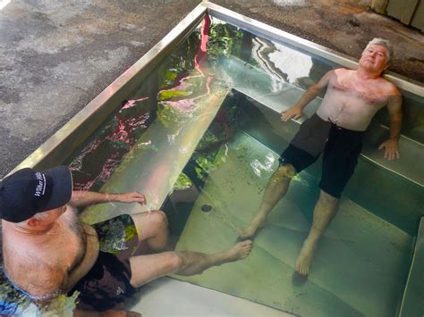 Along For The Ride Hot Springs North Island New Zealand