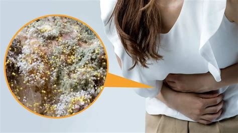 What Happens When You Eat Mold