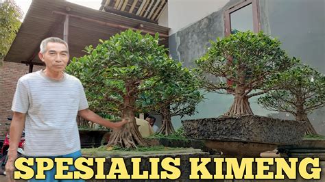 Spesialis Bonsai Kimeng Gabungan Dan Pecah Batang Pak Wiwin