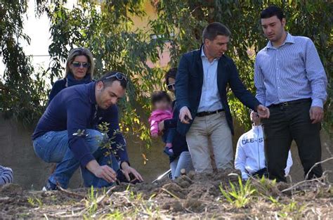 Torregrotta Me Grande Successo Per L Iniziativa Un Albero Per Ogni