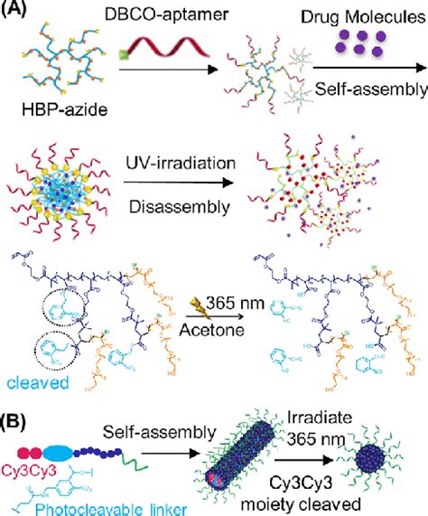 Different Types Of Light Responsive Dna−polymer Dynamic Nanostructures