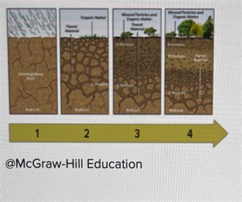 In the diagram below, the formation of soil horizons | Chegg.com