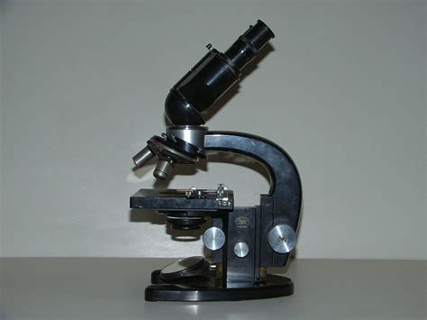 Zeiss Binocular Old Microscopes Collection