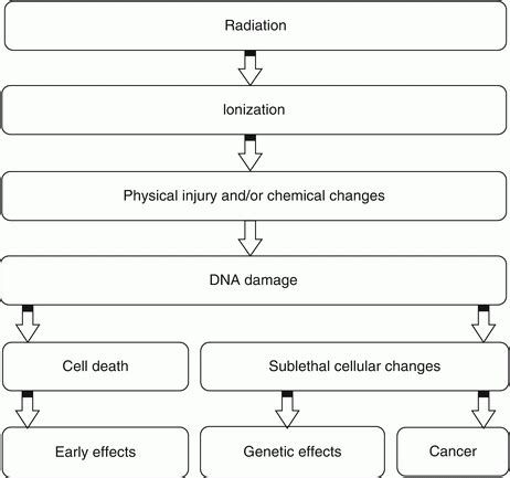 Biological Effects of Ionizing Radiation | Radiology Key