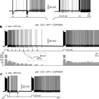 Synaptic Induction And Modulation Of Persistent Activity In LA Neurons