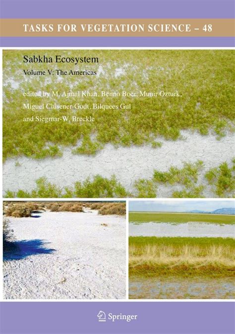 Sabkha Ecosystems, Volume 5: The Americas | NHBS Academic & Professional Books