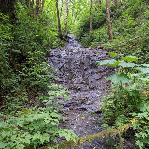 Apiary Slide Falls Wild Columbia County