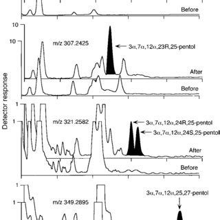 Representative High Resolution Gc Sim Chromatograms Of Standard Assay