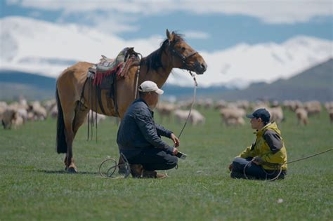 Explore the beauty of grasslands with documentary of page 3 | govt.chinadaily.com.cn