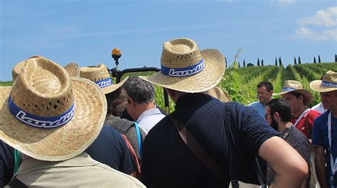 Nova Agricoltura In Vigneto Il 7 Giugno 2018 Ad Osimo Tra I Vigneti