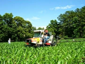 Grain Crops Update New Soil Extension Specialist Excited To Be In Kentucky