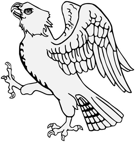 Hawk Coat Of Arms