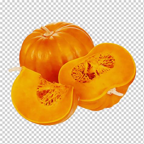 Naranja Acuarela Pintura Tinta H Meda Calabaza Vegetal Alimentos