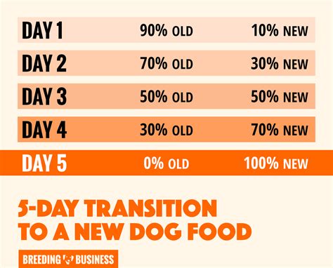 How To Transition Your Dog To a New Dog Food