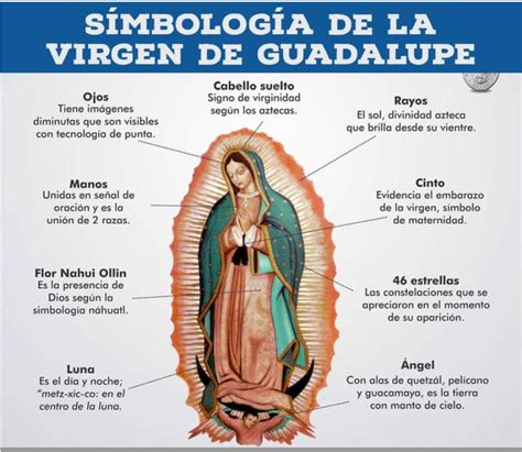 Lo Que No Sab As De La Virgen De Guadalupe