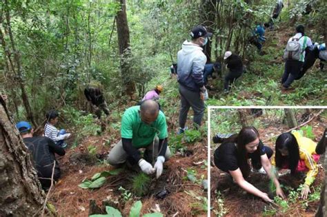 Amianan Balita Ngayon Jhmc Conducts Tree Planting Activity In Tublay