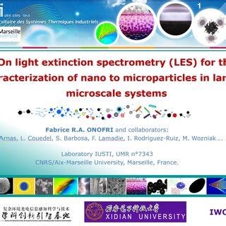 On Light Extinction Spectrometry For The Characterization Of Nano To