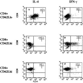 Intracellular staining for IL 4 and IFN γ on activated subpopulations