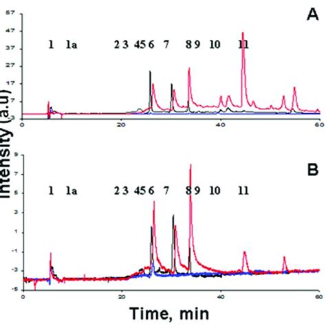 Comparative Chromatography Of Initial Black Oxidized Blue And