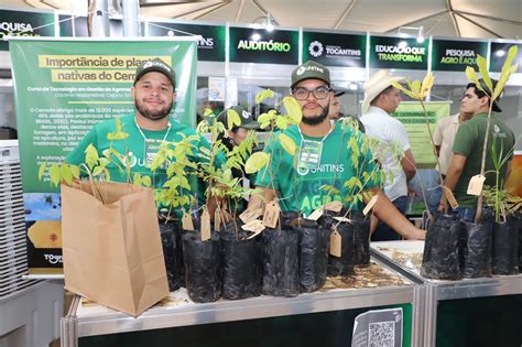 Unitins Exposi O Distribui Mudas Nativas E Chama Aten O Para A