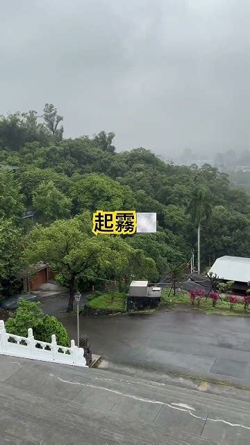 平日的台北半山腰⛰️，陰雨綿綿🌧️還起霧🌫️平日半山腰陰雨綿綿起霧 Youtube