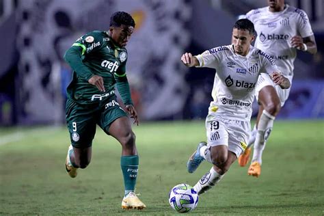 Palmeiras faz denúncia grave à Conmebol após jogo na Libertadores