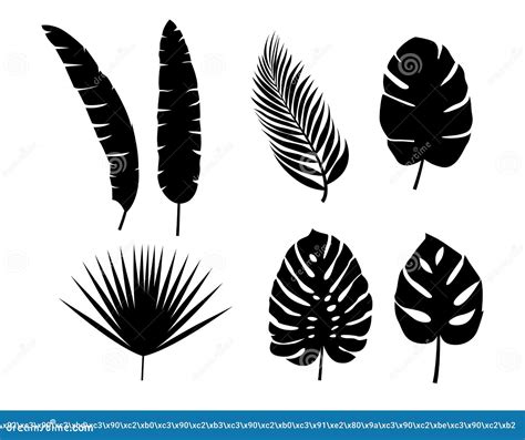 Set Vector Silhouettes Tropical Leaves Monochrome Jungle Exotic Leaf