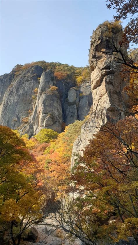 주왕산 국립공원 단풍 주봉 등산 코스 청송 가볼 만한 곳 주왕 계곡 용연 폭포 시루봉 네이버 블로그