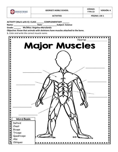 Muscle Worksheets Pdf Printable Worksheets