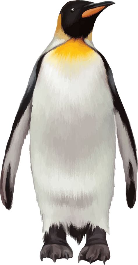 Penguin Png Transparent Background Images Pngteam | The Best Porn Website