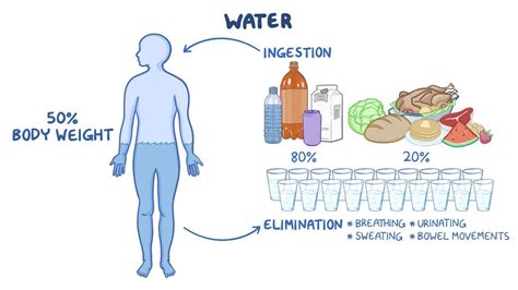 Gi Gu Oral Fluids Osmosis Video Library