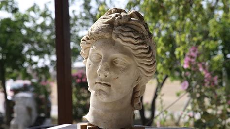 Year Old Statue Head Of Hygieia Greek Goddess Of Health